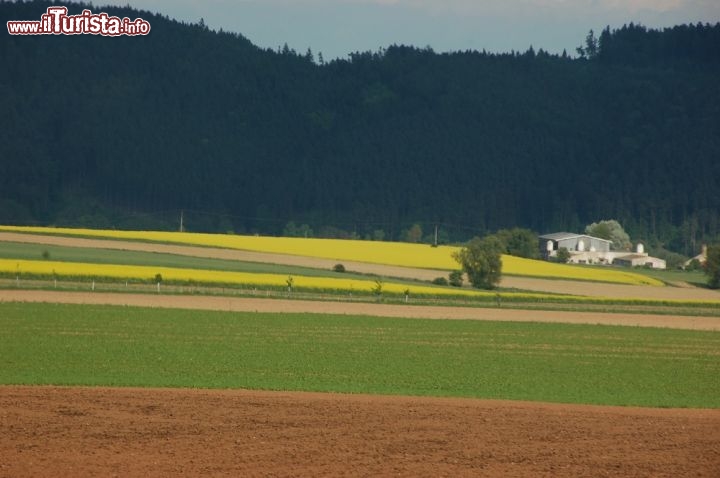 Le campagne intorno a Litomyl 