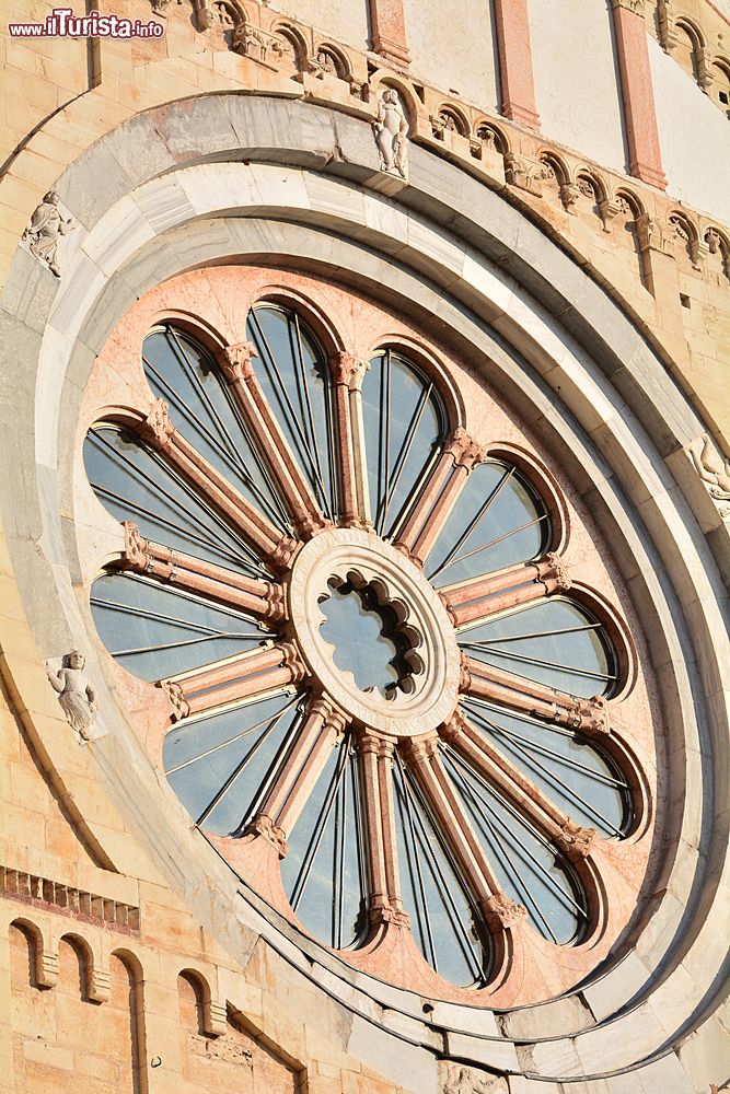 Immagine Il rosone della fafficata di San Zeno Maggiore, la Basilica di Verona