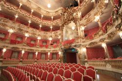 Il Teatro Cuvillies fa parte del complesso della Residenz di Monaco di Baviera, ed è uno dei teatri più belli di tutta la Germania - © mary416 / Shutterstock.com