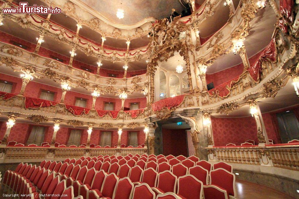 Immagine Il Teatro Cuvillies fa parte del complesso della Residenz di Monaco di Baviera, ed è uno dei teatri più belli di tutta la Germania - © mary416 / Shutterstock.com