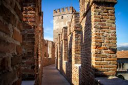 I merli di Castelvecchio a Verona. Originariamente il castello era noto con il nome di San Martino in Aquaro.