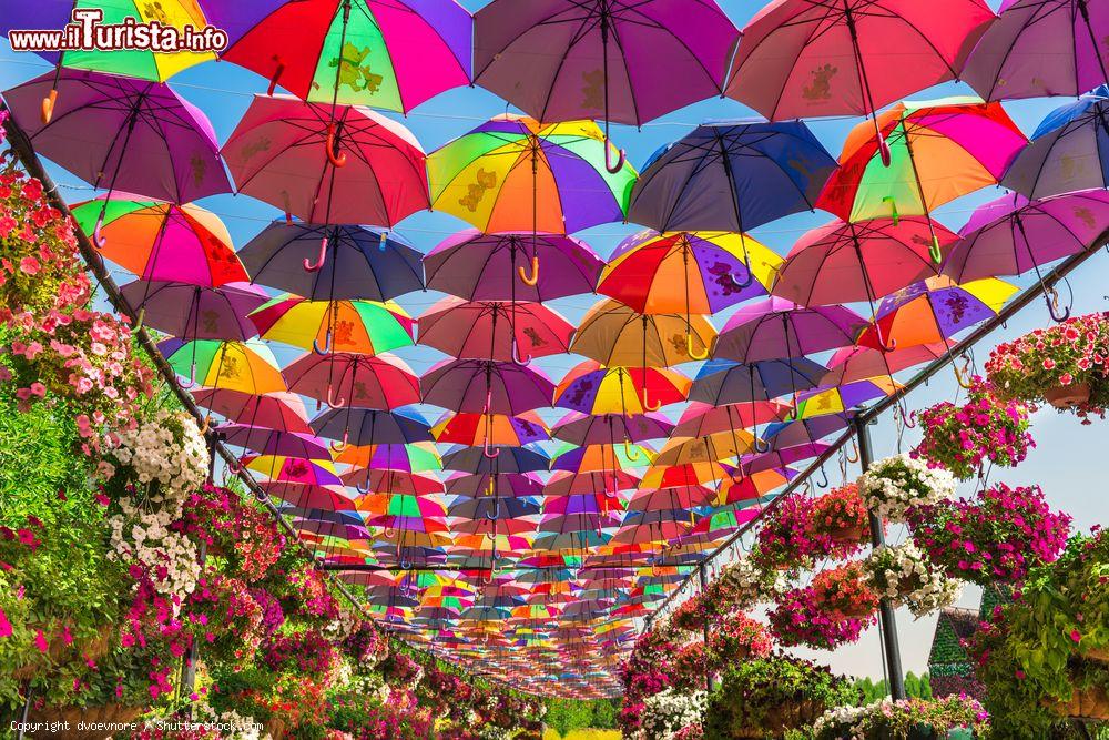 Immagine Il variopinto tetto di ombrelli al Miracle Garden di Dubai, Emirati Arabi Uniti. E' una delle passeggiate preferite dai visitatori del parco botanico che nei mesi estivi rimane chiuso al pubblico per il troppo caldo che danneggia i fiori - © dvoevnore / Shutterstock.com