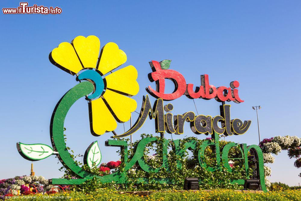 Immagine L'insegna del Miracle Garden di Dubai fotografata in una bella giornata di sole, Emirati Arabi Uniti - © LMspencer / Shutterstock.com