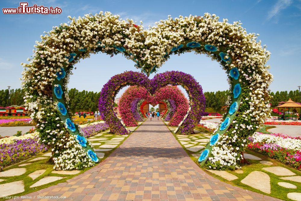 Immagine La via dell'amore al Miracle Garden di Dubai, Emirati Arabi Uniti. E' uno degli scorci floreali più apprezzati dagli innamorati che vi passeggiano mano nella mano - © Rebius / Shutterstock.com