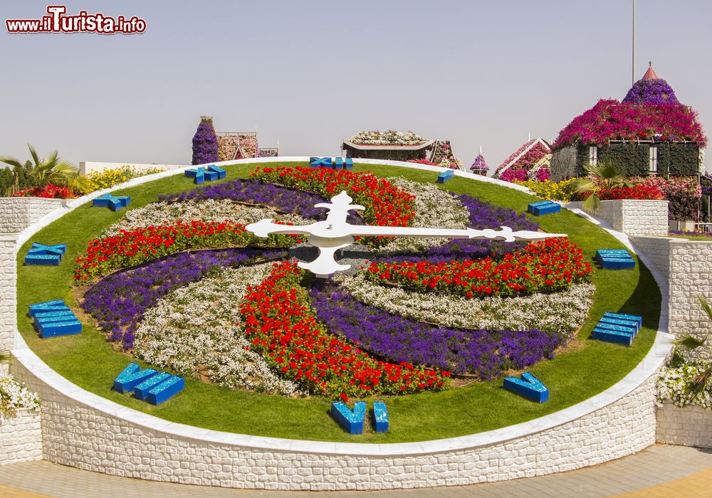 Immagine L'orologio di fiori al Miracle Garden di Dubai, Emirati Arabi Uniti. E' un mix di colori e profumi questo originale orologio che accompagna la visita al giardino botanico della città araba.