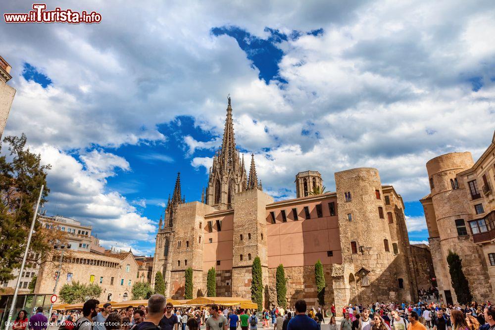 Immagine Il fianco della Cattedrale della Santa Croce e Eulalia a Barcellona - © alionabirukova / Shutterstock.com