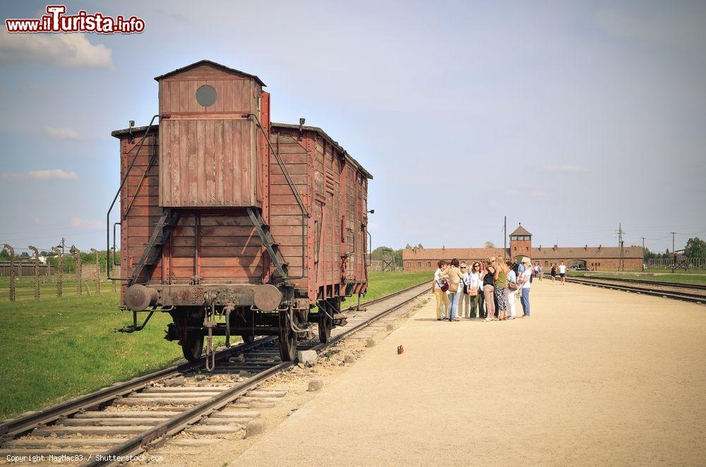 Immagine Turisti in visita al campo di sterminio di Birkenau (Auscwitz II) nella località di Brzezinka, Polonia - © MagMac83 / Shutterstock.com