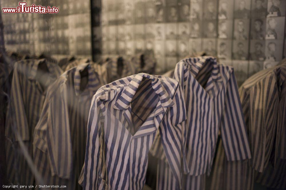 Immagine All'interno del Memoriale e Museo di Auschwitz (Oświęcim, Polonia) sono esposti oggetti e foto del campo di concentramento nazista - © gary yim / Shutterstock.com