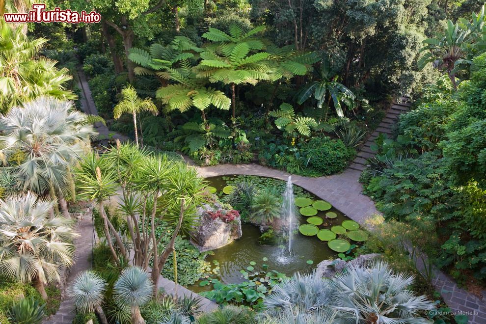 Immagine La fontana principale dei Giardini La Mortella fu costruita scavando uno specchio d'acqua attorno alle rocce vulcaniche ai piedi della casa.