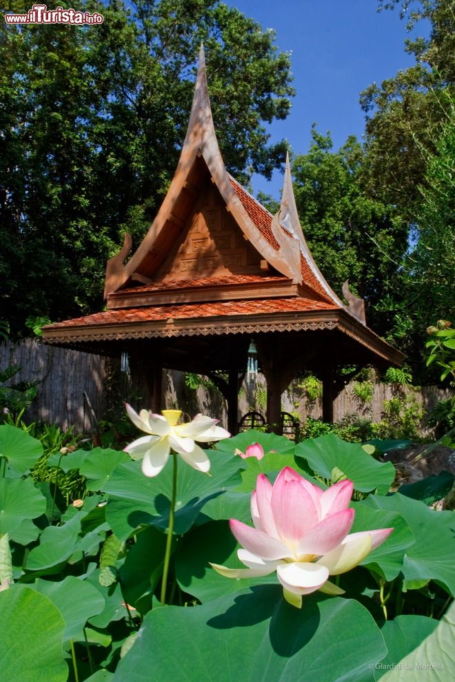 Immagine Giardini La Mortella: la Sala Thai del giardino orientale, con il padiglione thailandese e uno stagno con piante di loto.