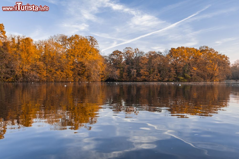 Immagine Un'immagine autunnale del lago des Minimes al parco di Vincennes, Parigi, Francia. Questo bacino lacustre si trova a nord est dell'area verde, ha una superficie di 6 ettari e ospita tre isolotti.