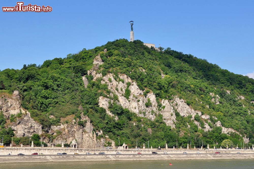 Immagine La collina Gellert a Budapest, Ungheria. Un tempo a ricoprire le pendici di questo monte vi erano grandi piantagioni di vigneti andati purtroppo distrutti dalla filossera.