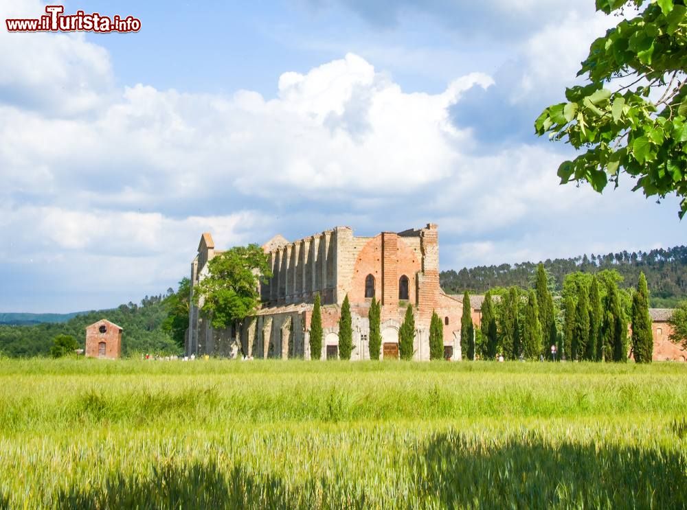 Immagine L'abbazia di San Galgano, Siena, Toscana. Questa abbazia cistercense si innalza a una trentina di chilometri da Siena nel Comune di Chiusdino. In stile gotico, la chiesa è stata consacrata nel 1288.