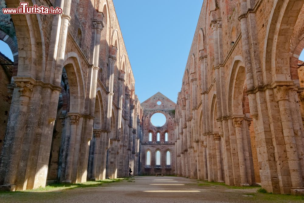 Immagine L'imponente abbazia di San Galgano, Siena, Toscana. La chiesa con abside verso est si presenta con una facciata a doppio spiovente ed è suddivisa in tre navate.