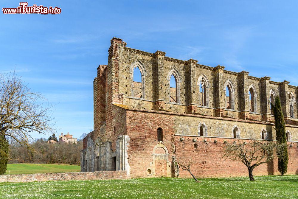 Immagine La maestosa architettura medievale della chiesa di San Galgano, Siena, Toscana. Le fiancate laterali dell'edificio religioso mostrano le caratteristiche architettoniche principali della costruzione - © Georgia Carini / Shutterstock.com