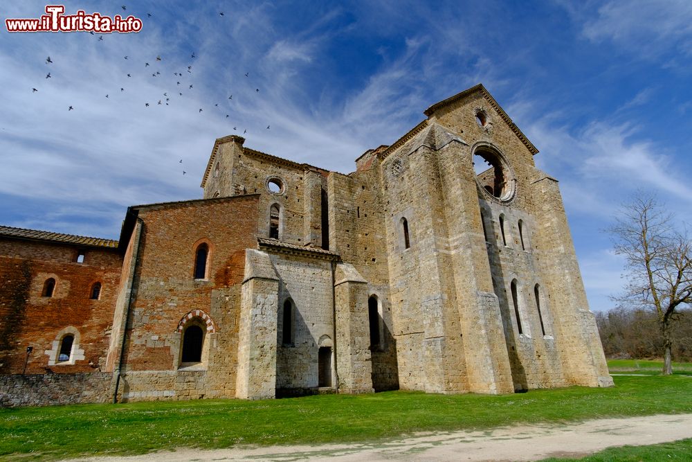 Immagine Panorama dell'abbazia di San Galgano, Siena, Toscana. In rovina e ridotta alle sole mura, la chiesa è dedicata a San Galgano, cavaliere medievale e santo che scelse la vita da eremita. La sua spada, conficcata nel terreno argilloso all'interno dell'eremo che porta il suo nome, è meta di devoti e turisti.