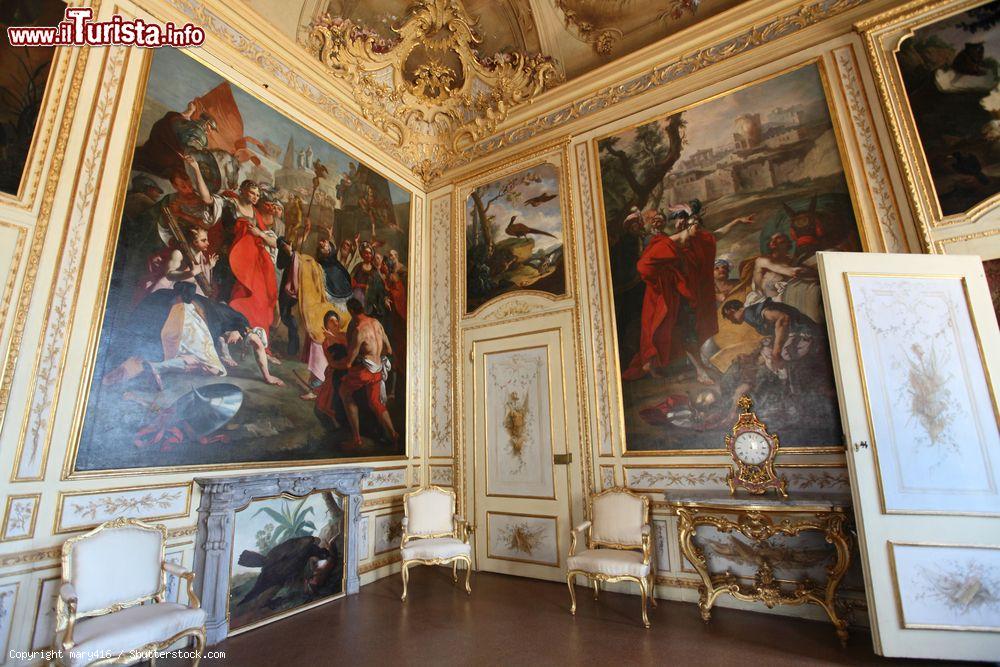 Immagine Sono oltre 100.000 i visitatori che scelgono di scoprire la Palazzina di Caccia di Stupinigi ogni anno. Il palazzo ospita 137 camere e 17 gallerie - foto © mary416 / Shutterstock.com