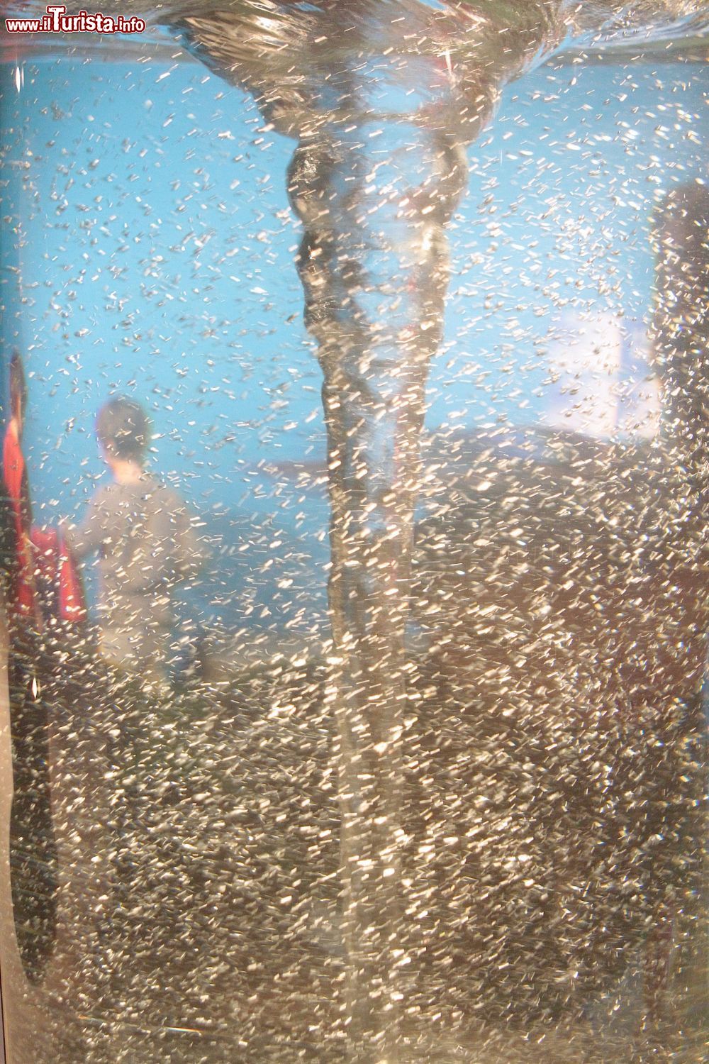 Immagine Un vortice d'acqua creato all'Immaginario Scientifico di Trieste