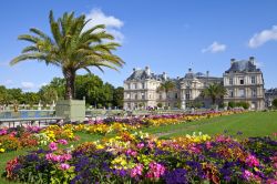 Il Jardin du Luxembourg è una delle attrazioni più importanti del quartiere Odeon e di tutta Parigi