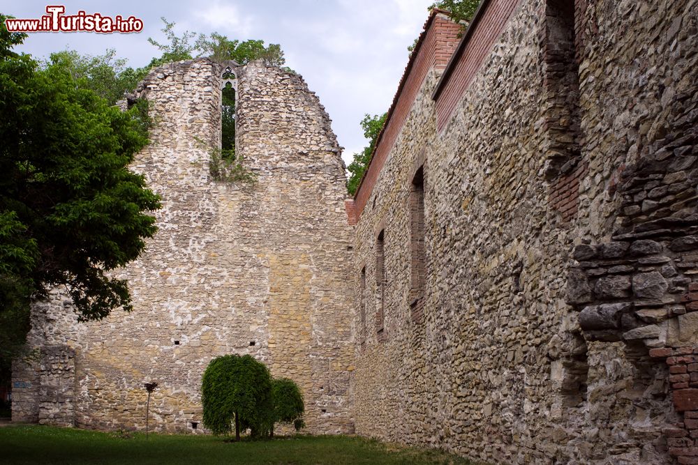 Immagine Le rovine della chiesa francescana del XIII secolo sull'Isola Margherita (Margit-sziget) a Budapest, Ungheria.