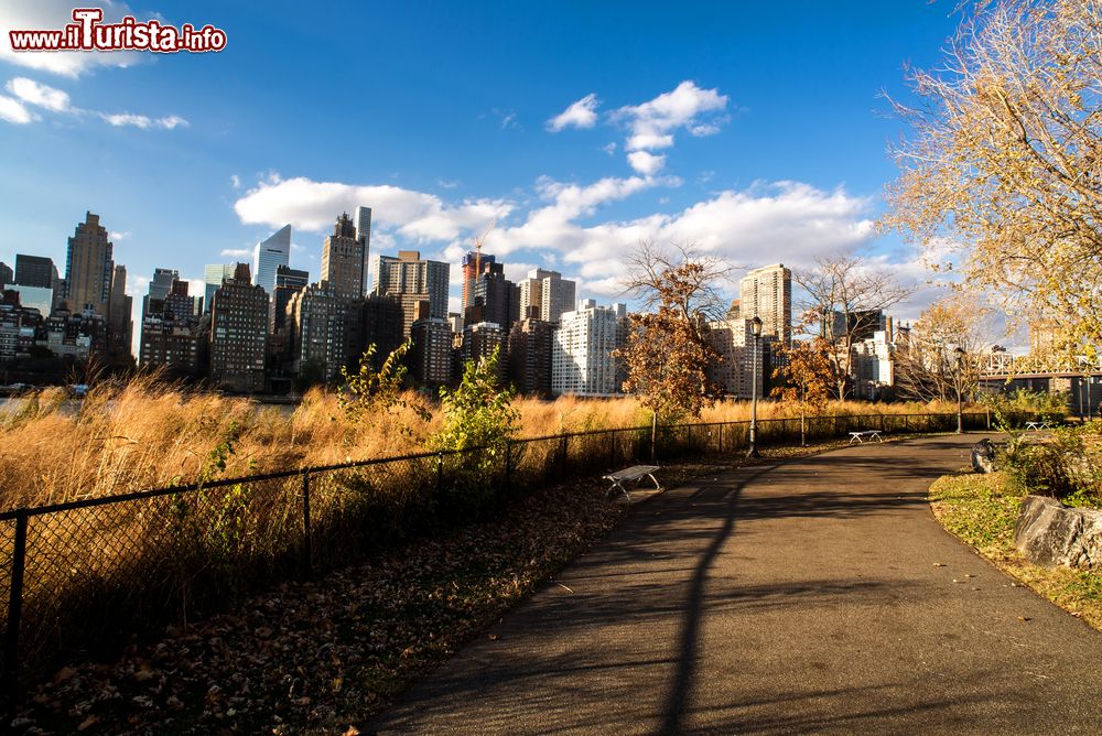 Immagine Il Roosevelt Four Freedoms Park in autunno. Siamo su Roosevelt Island, a New York City.