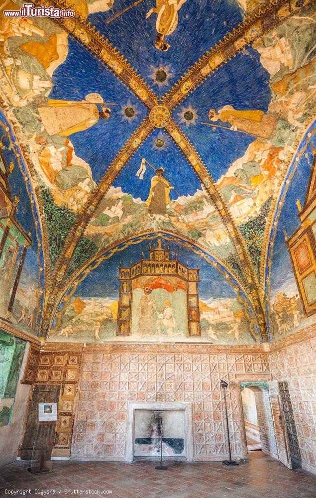 Immagine La Camera d'Oro del Castello di Torrechiara vicino a Langhirano di Parma - © Olgysha / Shutterstock.com