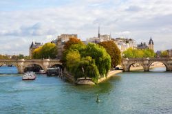 Parigi, Francia: la Senna, l'Île de la Cité e il Pont Neuf visti dal Pont des Arts.