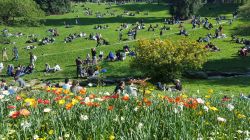 Fioritura primaverile nel parco di Parigi Buttes-Chaumont - © CCParis / Shutterstock.com