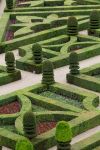 Particolare del giardino del Castello Vaux le Vicomte a Meun in Francia