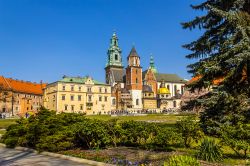 Spring garden at Krakow's Royal Wawel Castle with Wawel Cathedral in the background, Krakow, Poland, Europe