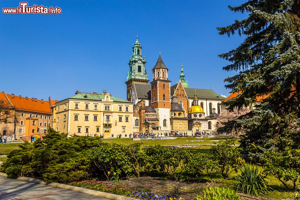 Immagine Spring garden at Krakow's Royal Wawel Castle with Wawel Cathedral in the background, Krakow, Poland, Europe