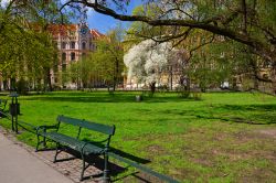 Fioritura primaverile all'interno del Planty Park, centro storico di Cracovia. E' formato da un trentina di giardini ed accoglie monumenti ed edifici storici