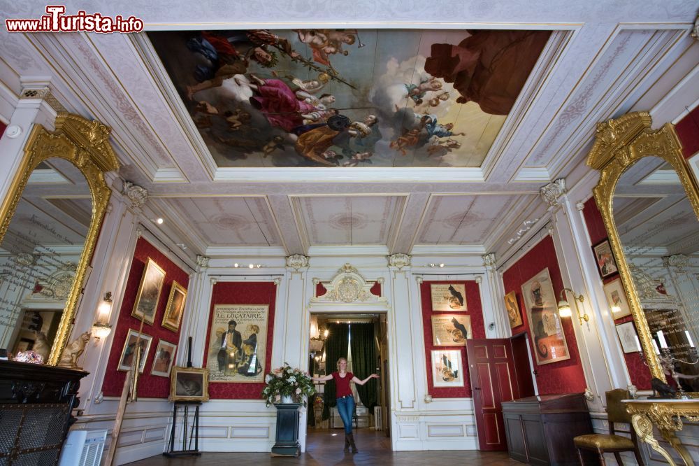 Immagine Una delle belle sale del Museo dei Gatti di Amsterdam - © Jorge Royan / www.royan.com.ar, CC BY-SA 3.0, Wikipedia