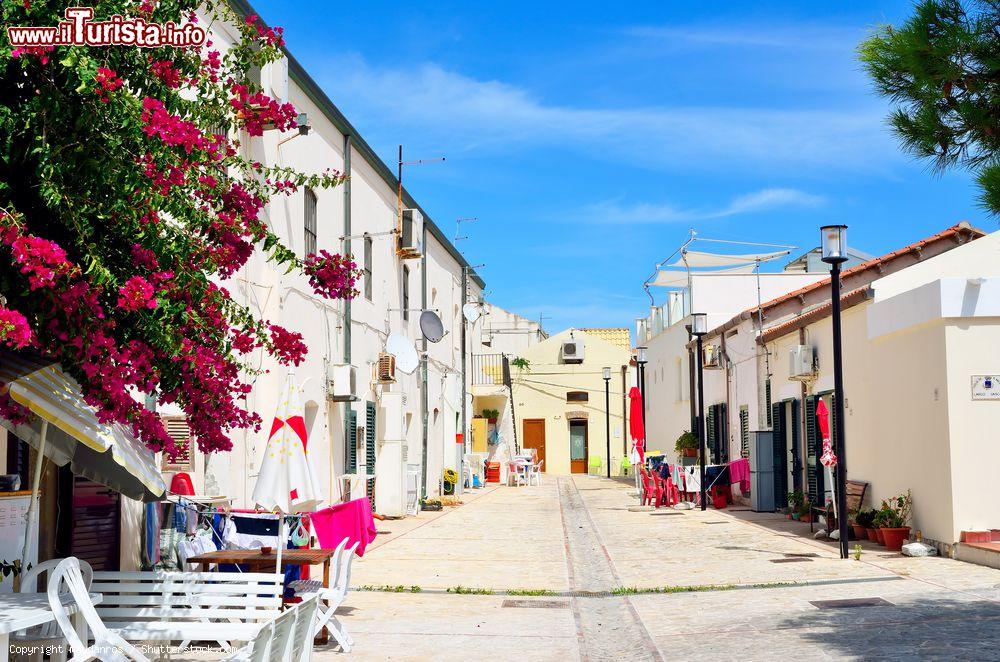 Immagine Passeggiata lungo una strada del centro di San Nicola alle Tremiti - © maudanros / Shutterstock.com