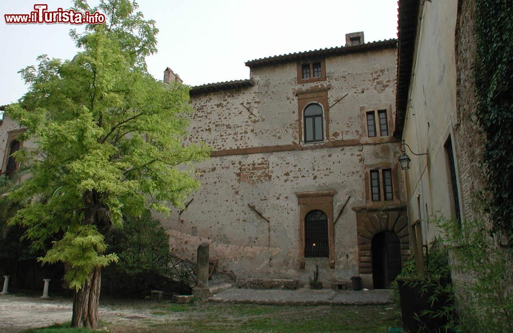 Immagine Coorte a fianco del Castello di Lunghezza a Roma