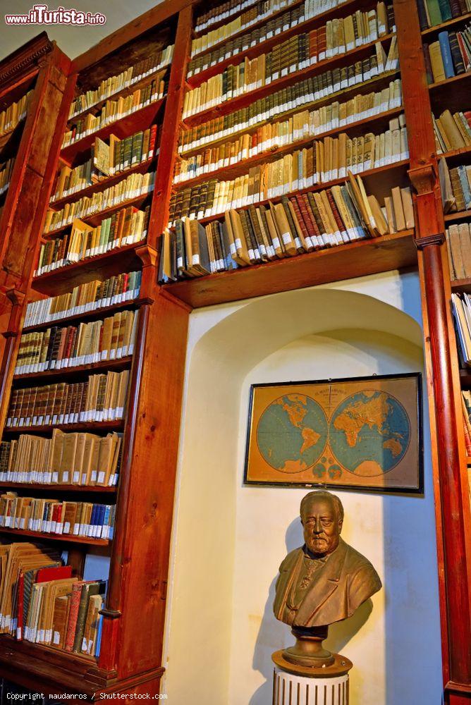 Immagine Uno scorcio della libreria con volumi antichi al castello di Donanfugata, Sicilia - © maudanros / Shutterstock.com