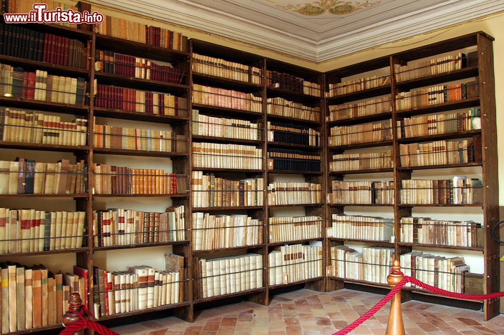 Immagine Uno scorcio della biblioteca di Casa Leopardi a Recanati, Macerata (Marche): accoglie più di 20 mila volumi.