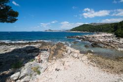 Una bella spiaggia sull'isola di Lokrum al largo di Dubrovnik in Croazia