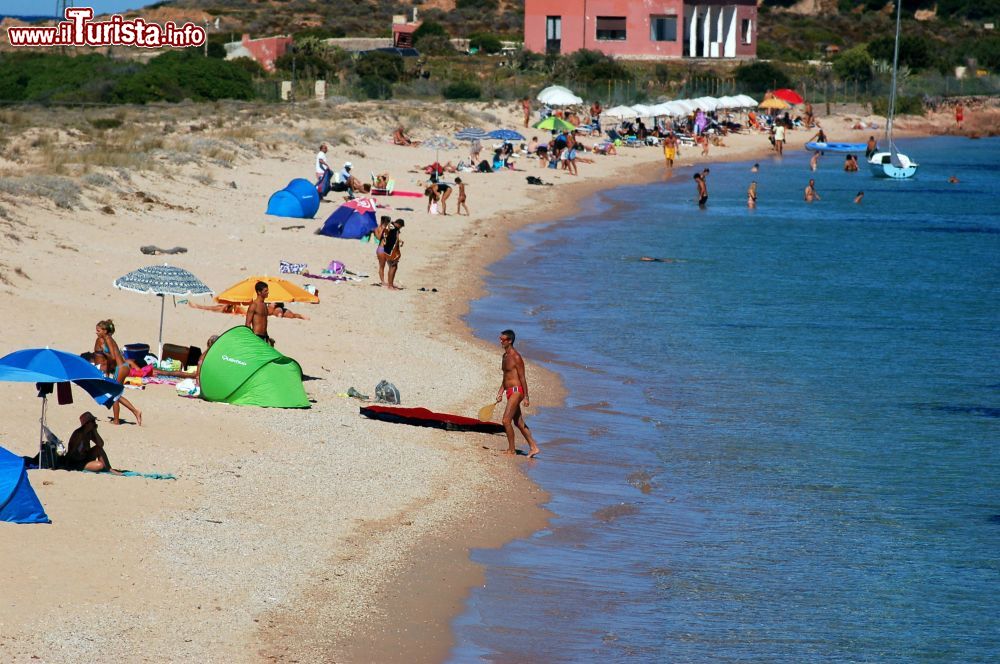 Immagine Una spiaggia a Capo Spalmtore, isola della Tavolara, Sardegna