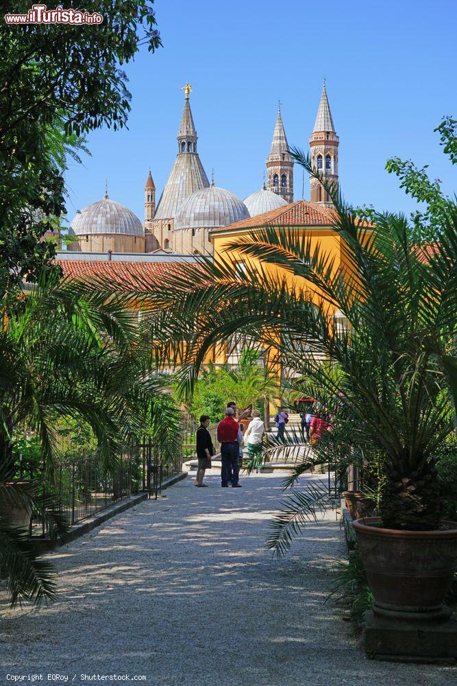 Immagine Gente passeggia nei viali dell'Orto Botanico di Padova, Veneto. E' una tappa obbligatoria per gli appassionati di botanica  - © EQRoy / Shutterstock.com