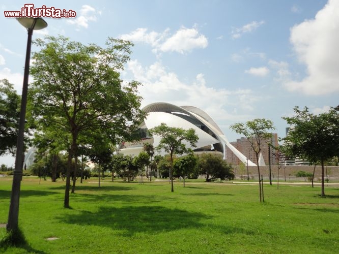 Immagine La Ciudad de las Artes y las Ciencias dal Turia