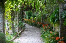 Uno scorcio di un sentiero nel verde a Villa Hanbury di Ventimiglia, Riviera di Ponente
