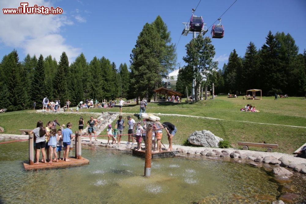 Immagine Giro d'Ali il Family Park delle Dolomiti a Bellamonte - © sito ufficiale