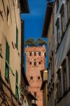 La medievale torre Guinigi con le sue querce fotografata da una strada del centro storico di Lucca - © Cris Foto / Shutterstock.com