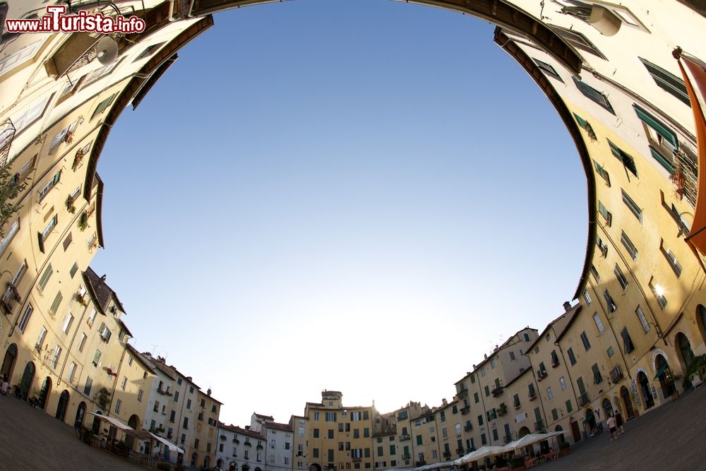 Immagine Visione completa con obiettivo fish-eye di Piazza dell'Anfiteatro a Lucca (Toscana)