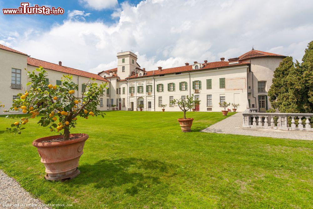 Immagine Il giardino del Castello di Masino, comune di Caravino, Piemonte - © elitravo / Shutterstock.com