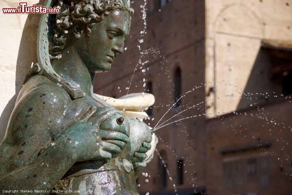 Immagine Una nereide fa sgorgare l'acqua dai suoi capezzoli. Siamo alla Fontana del Nettuno a Bologna - © Stefano Masotti / Shutterstock.com