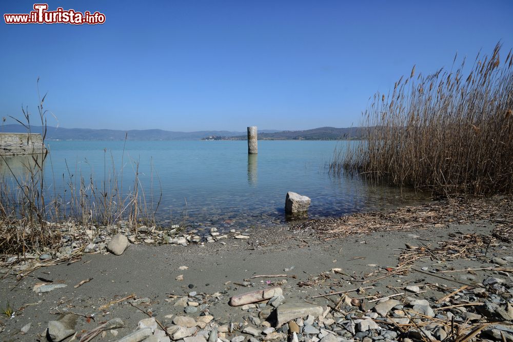 Immagine Una spiaggia sull'Isola Polvese in Umbria, Lago Trasimeno