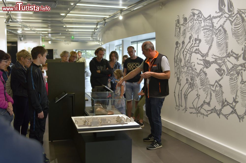 Immagine Visita guidata al Musee de Gergovie vicino a Clermont-Ferrand - ©  Musee de Gergovie / Henri Derus Photographie