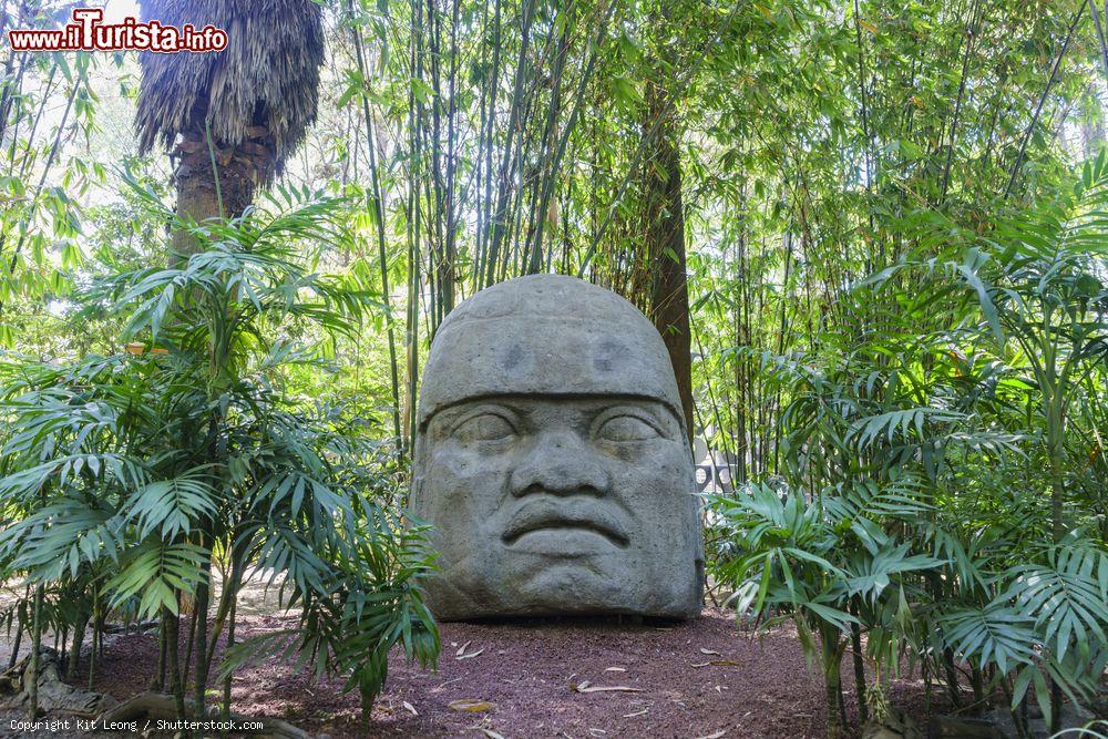 Immagine Un'enorme testa olmeca presso il Museo Nacional de Antropología (MNA) a Città del Messico - © Kit Leong / Shutterstock.com